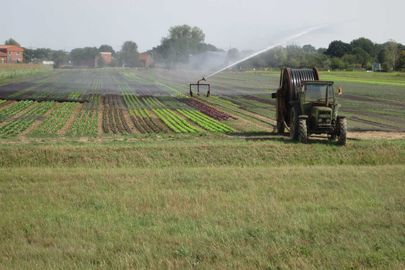 Impressionen vom Bioland Hofladen Gemüsediele in Wunstorf