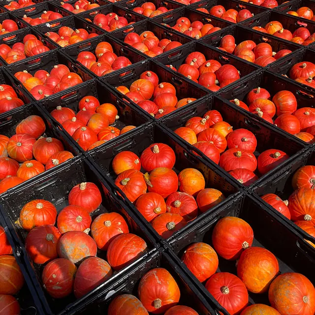 Aktuelles vom Betrieb 