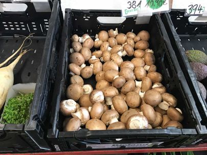 Impressionen vom Bioland Hofladen Gemüsediele in Wunstorf