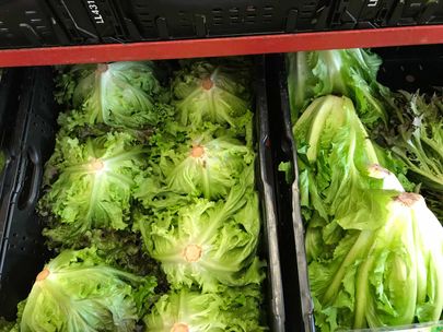 Impressionen vom Bioland Hofladen Gemüsediele in Wunstorf