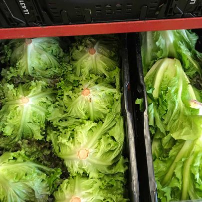 Impressionen vom Bioland Hofladen Gemüsediele in Wunstorf